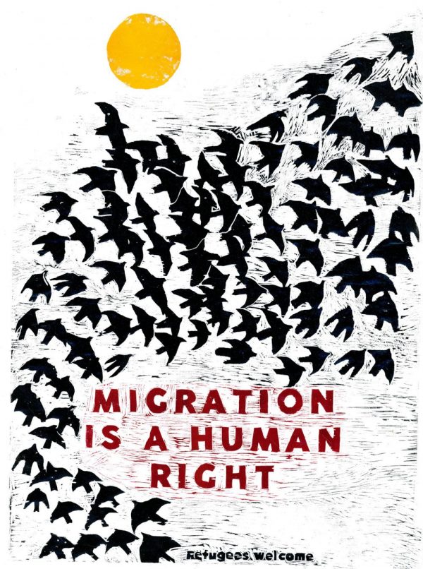 Migration is a Human Right Sticker
