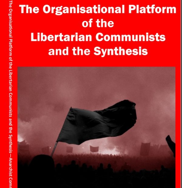 The organisational platfrom of the libertarian communists and the synthesis