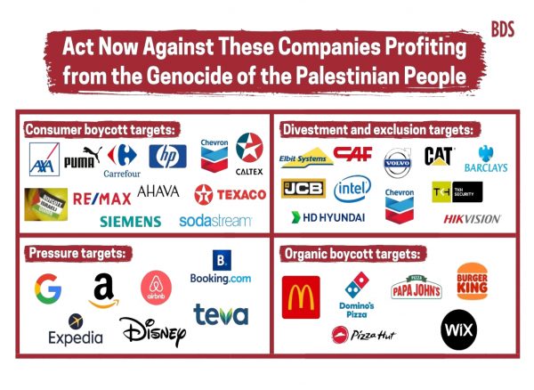 Act Now - Boycott Israeli Apartheid sticker