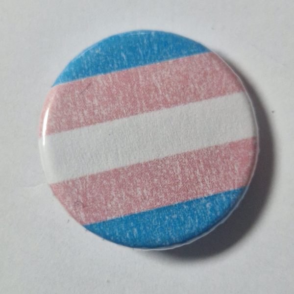 446 Trans Pride flag