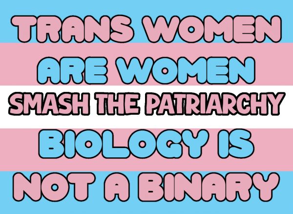 Trans women are women sticker