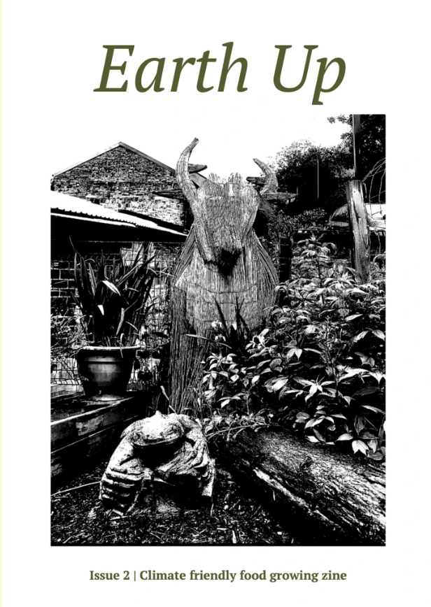 Earth Up zine, issue 2